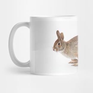 Eastern Cottontail rabbit Mug